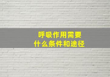 呼吸作用需要什么条件和途径