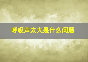 呼吸声太大是什么问题