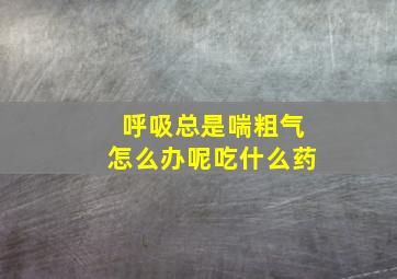 呼吸总是喘粗气怎么办呢吃什么药