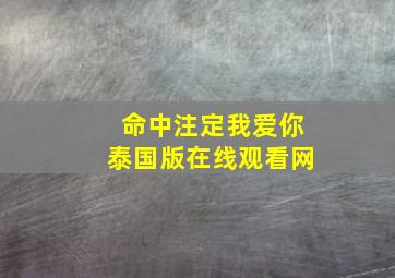 命中注定我爱你泰国版在线观看网