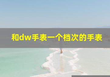 和dw手表一个档次的手表