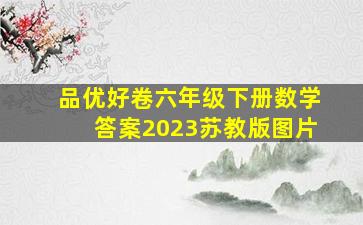 品优好卷六年级下册数学答案2023苏教版图片