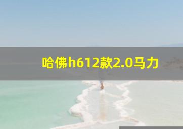 哈佛h612款2.0马力