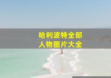 哈利波特全部人物图片大全