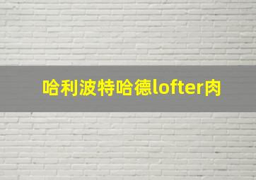 哈利波特哈德lofter肉