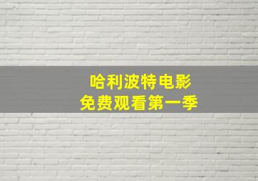 哈利波特电影免费观看第一季