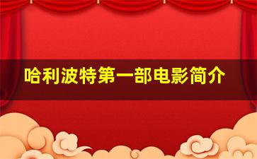 哈利波特第一部电影简介