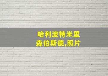 哈利波特米里森伯斯德,照片