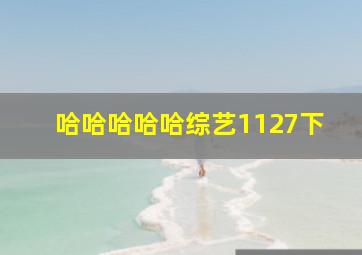 哈哈哈哈哈综艺1127下