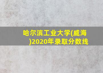 哈尔滨工业大学(威海)2020年录取分数线