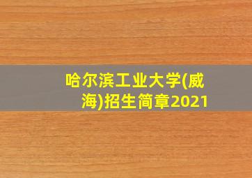 哈尔滨工业大学(威海)招生简章2021