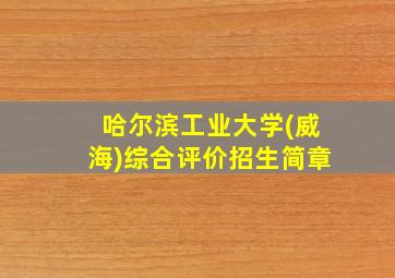 哈尔滨工业大学(威海)综合评价招生简章