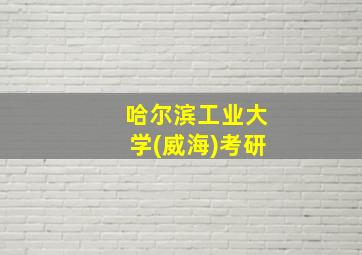 哈尔滨工业大学(威海)考研