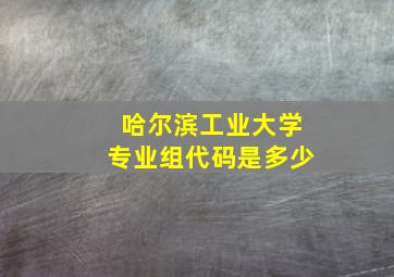 哈尔滨工业大学专业组代码是多少