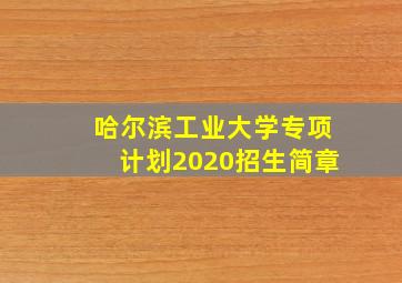 哈尔滨工业大学专项计划2020招生简章