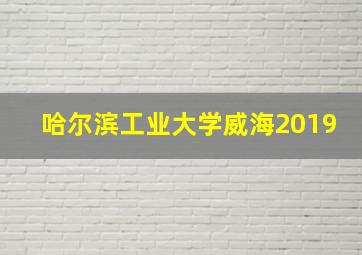 哈尔滨工业大学威海2019