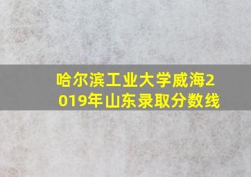 哈尔滨工业大学威海2019年山东录取分数线