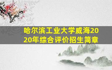 哈尔滨工业大学威海2020年综合评价招生简章