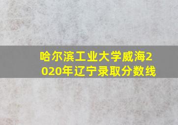 哈尔滨工业大学威海2020年辽宁录取分数线