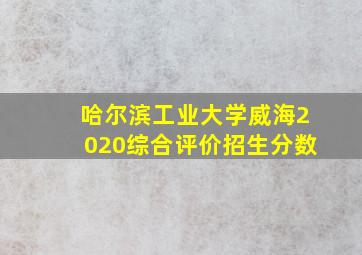 哈尔滨工业大学威海2020综合评价招生分数