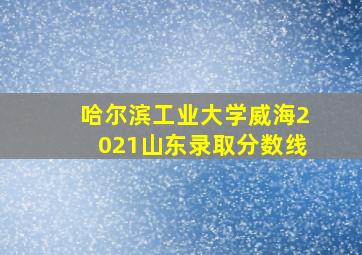 哈尔滨工业大学威海2021山东录取分数线