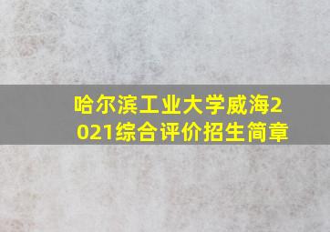 哈尔滨工业大学威海2021综合评价招生简章