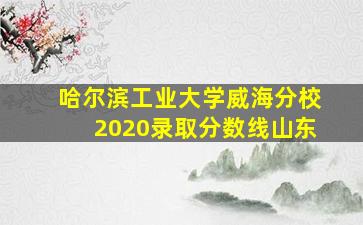 哈尔滨工业大学威海分校2020录取分数线山东