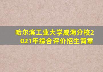 哈尔滨工业大学威海分校2021年综合评价招生简章