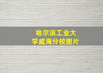 哈尔滨工业大学威海分校图片