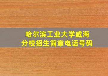 哈尔滨工业大学威海分校招生简章电话号码