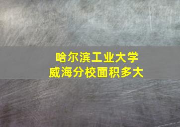 哈尔滨工业大学威海分校面积多大