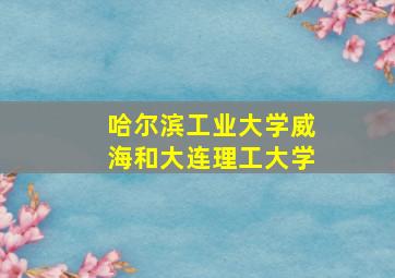 哈尔滨工业大学威海和大连理工大学