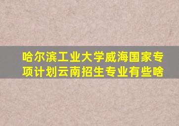 哈尔滨工业大学威海国家专项计划云南招生专业有些啥