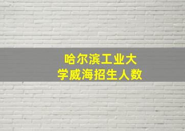 哈尔滨工业大学威海招生人数