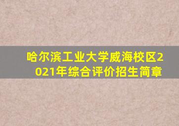 哈尔滨工业大学威海校区2021年综合评价招生简章