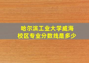 哈尔滨工业大学威海校区专业分数线是多少