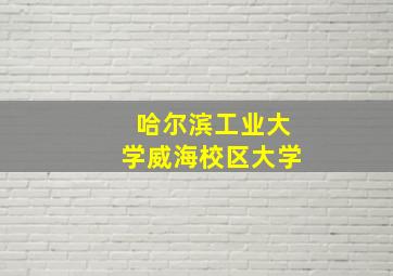 哈尔滨工业大学威海校区大学