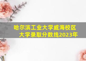 哈尔滨工业大学威海校区大学录取分数线2023年