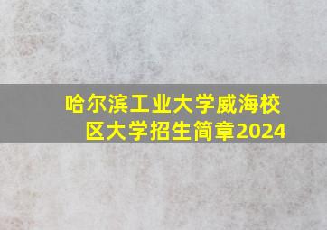 哈尔滨工业大学威海校区大学招生简章2024