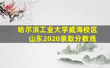 哈尔滨工业大学威海校区山东2020录取分数线