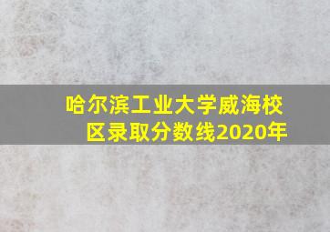 哈尔滨工业大学威海校区录取分数线2020年