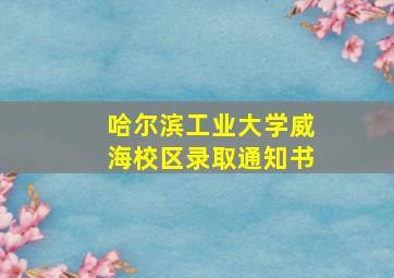 哈尔滨工业大学威海校区录取通知书