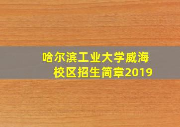 哈尔滨工业大学威海校区招生简章2019