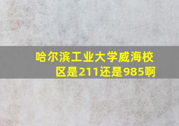 哈尔滨工业大学威海校区是211还是985啊