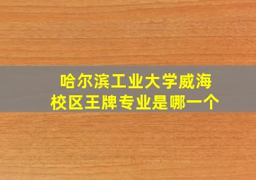 哈尔滨工业大学威海校区王牌专业是哪一个