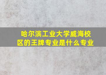 哈尔滨工业大学威海校区的王牌专业是什么专业