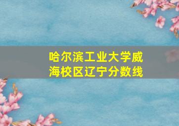 哈尔滨工业大学威海校区辽宁分数线