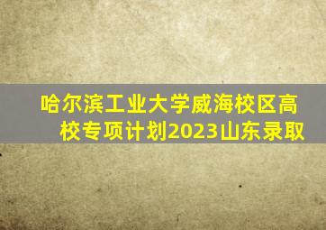 哈尔滨工业大学威海校区高校专项计划2023山东录取