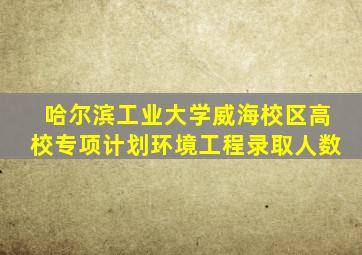 哈尔滨工业大学威海校区高校专项计划环境工程录取人数