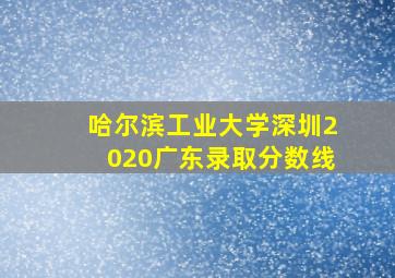 哈尔滨工业大学深圳2020广东录取分数线